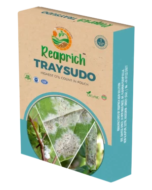 Trysudo Box