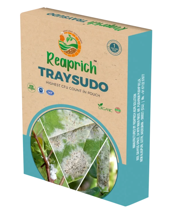 Trysudo Box