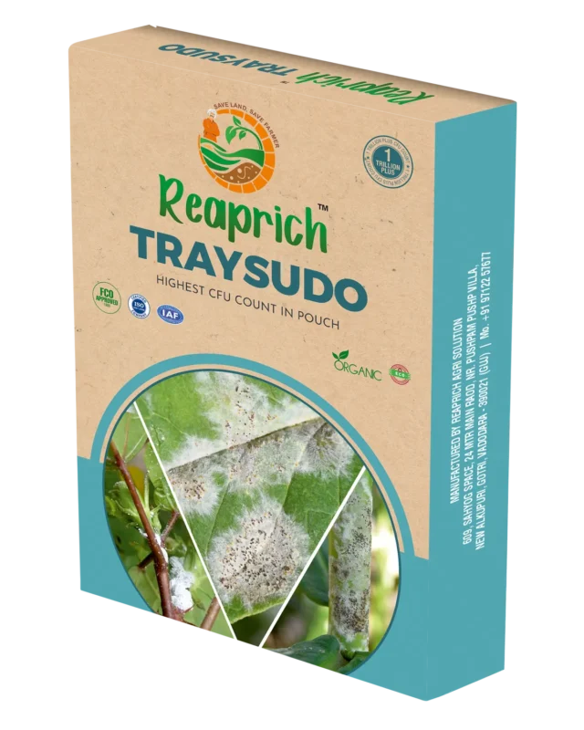 Trysudo Box