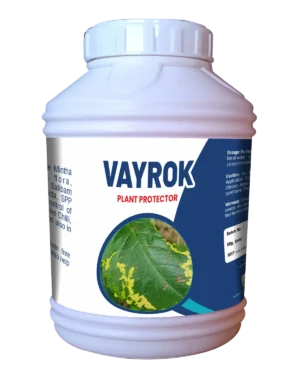 Vayrock