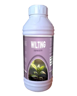Wilting