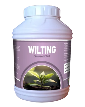 Wiltin