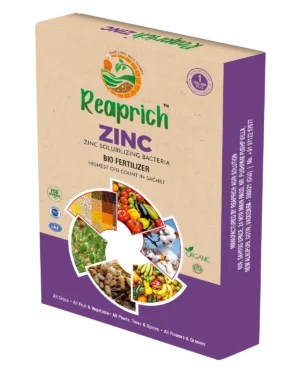Zinc box