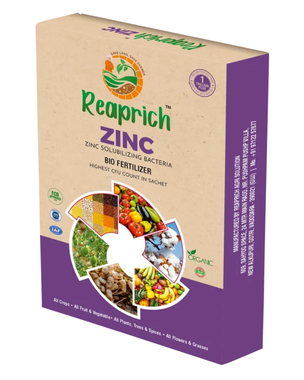 Zinc box