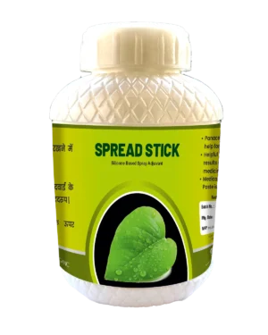 speardStick barfi