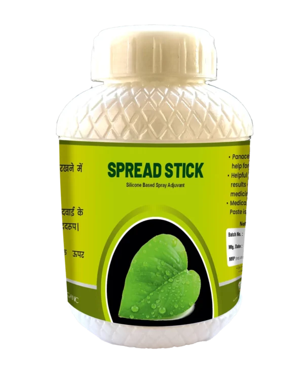 speardStick barfi