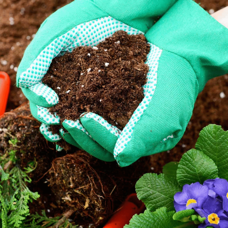 Biological Fertilizer