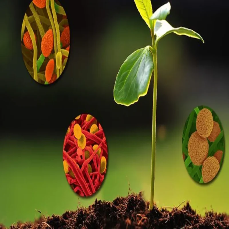 Biostimulants_new