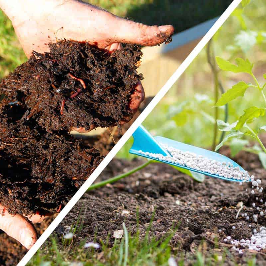 Organic Manure Fertilizer