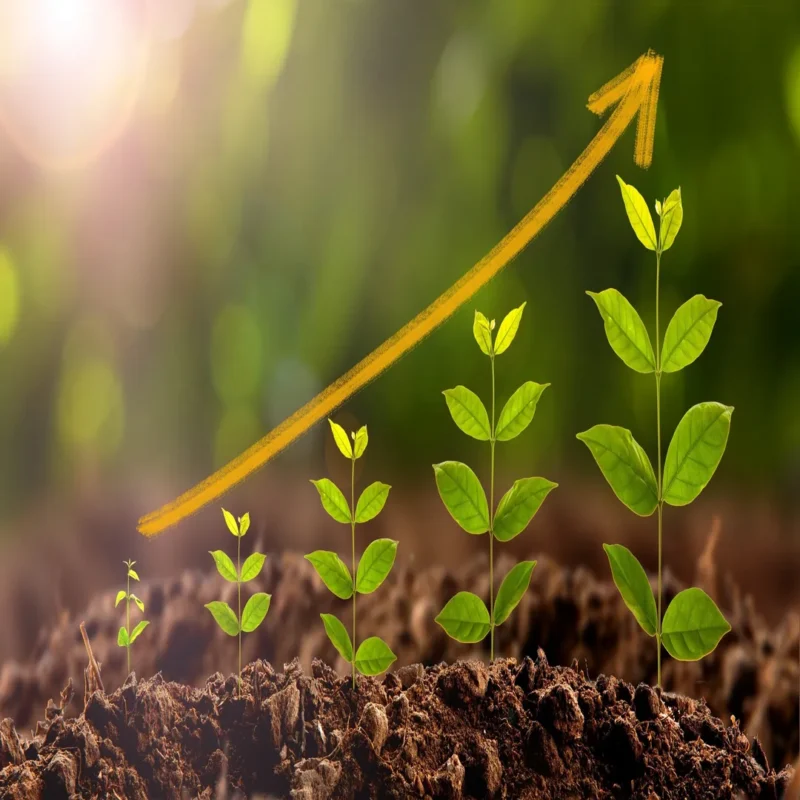 growth promoter_new